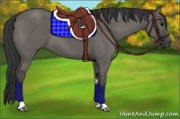 Horse Color:Grullo