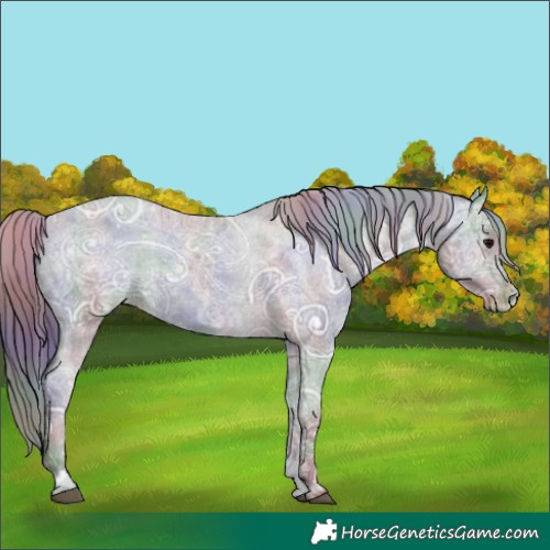 Horse Color:Nacre Black Ice Varnish Rabicano 