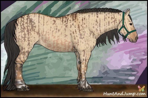 Horse Color:Bay Tobiano  and Bay Dun 