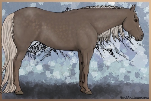 Horse Color:Silver Black 