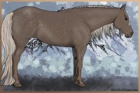 Horse Color:Silver Black 