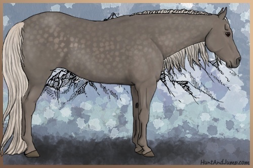 Horse Color:Silver Black