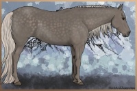 Horse Color:Silver Black 