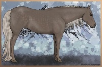 Horse Color:Silver Black 