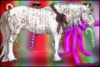 Horse Color:Brown Ice Tobiano Appaloosa and Sable Champagne Ice Tobiano Appaloosa