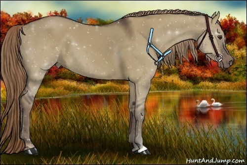 Horse Color:Liver Red Dun