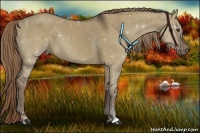 Horse Color:Liver Red Dun 