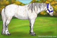 Horse Color:Brown Roan Dun Varnish  and Silver Brown Roan Dun Varnish 