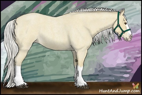 Horse Color:Silver Buckskin Roan Splash 