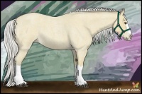 Horse Color:Silver Buckskin Roan Splash