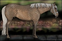 Horse Color:Silver Buckskin 