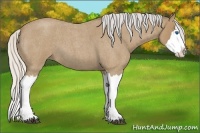 Horse Color:Silver Buckskin Roan Splash