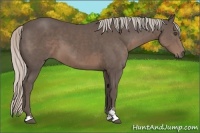 Horse Color:Silver Black Sabino 