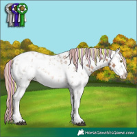 Horse Color:Painted White Spotted Liver Chestnut Pearl Mushroom Sabino Rabicano