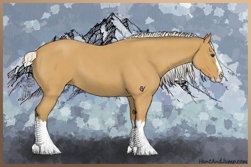 Horse Color:Silver Buckskin Roan Splash 