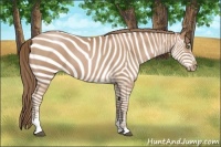 Horse Color:Black Pearl Sabino