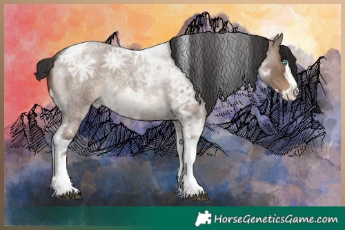 Horse Color:Liver Red Dun Ice Roan Splash Tobiano
