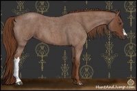 Horse Color:Red Roan 