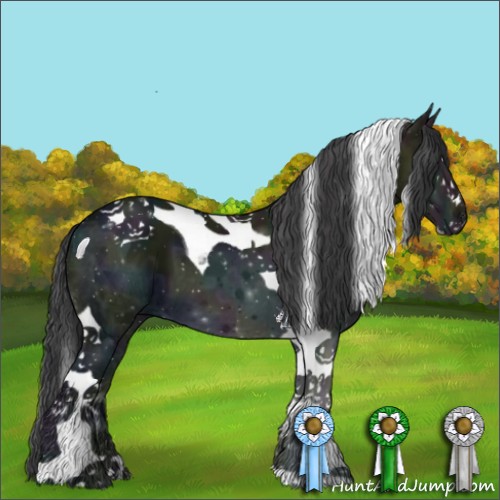 Horse Color:Midnight Black Ice Sabino Tobiano 