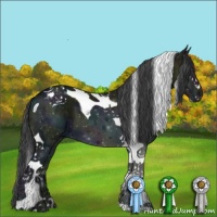 Horse Color:Midnight Black Ice Sabino Tobiano 