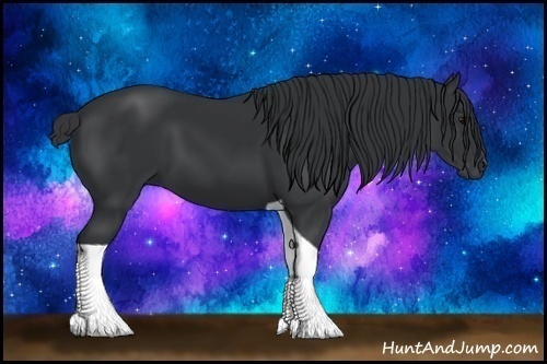 Horse Color:Black Tobiano 