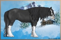 Horse Color:Black Splash 