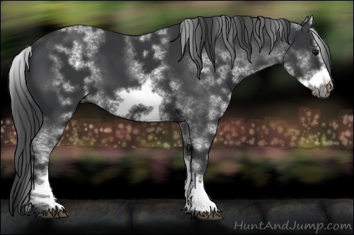 Horse Color:White Spotted Black Sabino Frame 