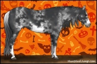 Horse Color:White Spotted Black Sabino Frame