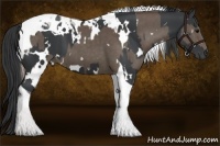 Horse Color:White Spotted Silver Black Tobiano  and White Spotted Black Tobiano 
