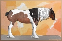 Horse Color:Bay Roan Tobiano 