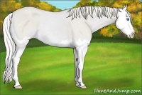 Horse Color:Watercolor Cremello Dun Splash
