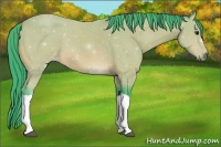 Horse Color:Watercolor Buckskin 