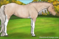 Horse Color:Silver Brown Roan Pearl Tobiano
