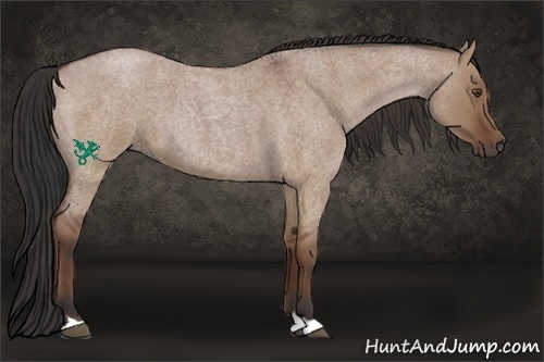 Horse Color:Bay Roan Dun 