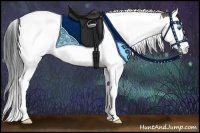 Horse Color:Grullo Sabino Splash Tobiano