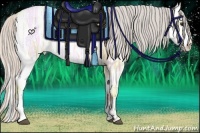 Horse Color:Silver Brown Ice Dun Splash