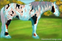 Horse Color:Thunderstruck Watercolor Gold Champagne Dun Splash Appaloosa