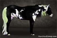 Horse Color:Watercolor Gold Champagne Ice Onyx Sabino Splash Tobiano Appaloosa 