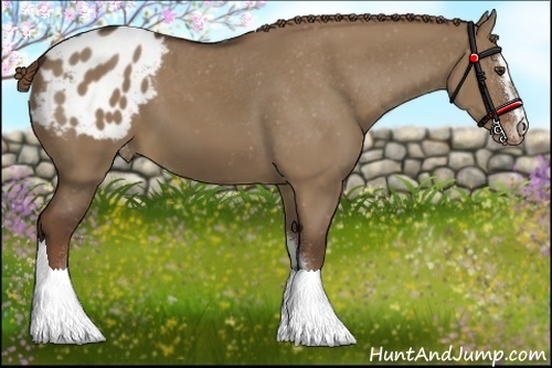 Horse Color:Liver Red Dun Sabino Varnish