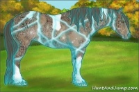 Horse Color:Thunderstruck Amber Champagne Ice Sabino Tobiano Appaloosa 