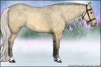 Horse Color:Silver Buckskin Ice Dun