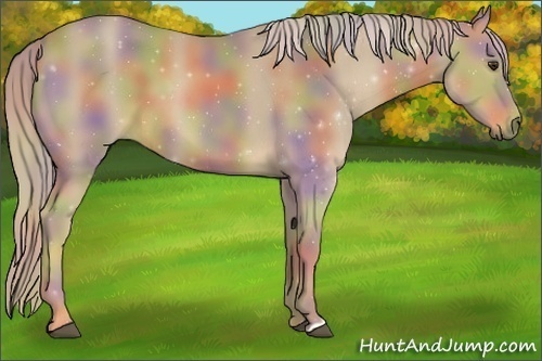 Horse Color:Nacre Palomino 
