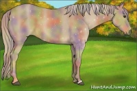 Horse Color:Nacre Palomino 