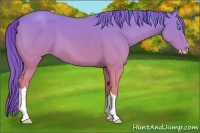 Horse Color:Perlino Dun