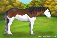 Horse Color:Brown Splash 
