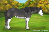 Horse Color:Smoky Black Splash