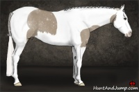 Horse Color:Silver Grullo Splash Tobiano 