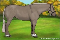 Horse Color:Silver Grullo