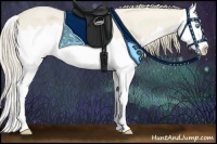 Horse Color:Smoky Creme Dun Sabino Splash 