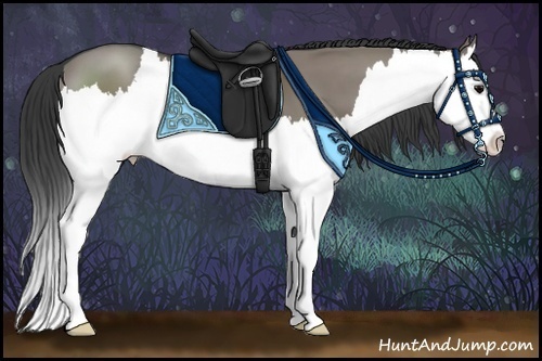 Horse Color:Grullo Sabino Splash